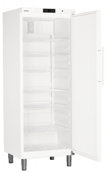 Kühlschrank GKv 6410 W
